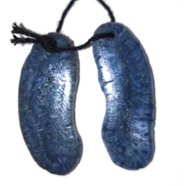 Коралл синий, пара фриформ 14х32