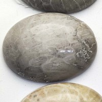 Коралл, кабошоновал 30х40